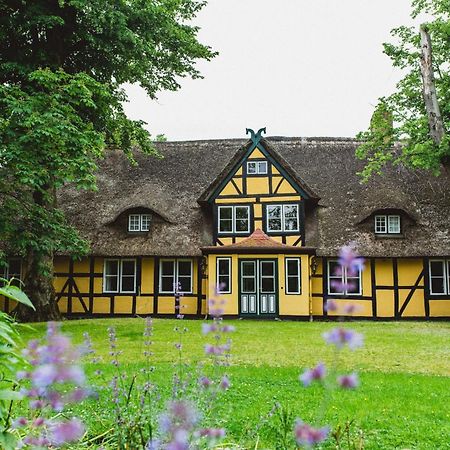 Herrenhaus Gut Dorotheenthal Дамп Екстериор снимка